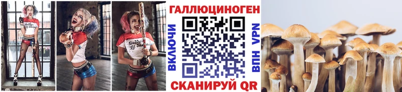 как найти закладки  Беслан  Галлюциногенные грибы Psilocybine cubensis 